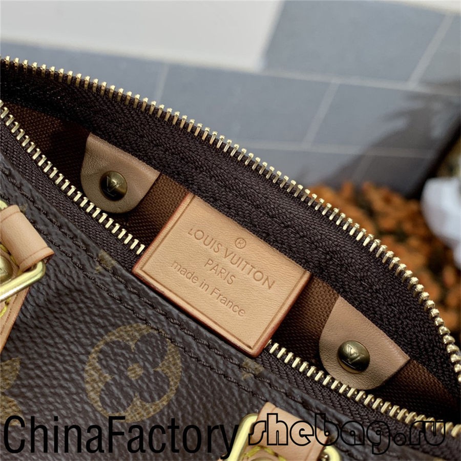 louis vuitton speedy 25 bag replica online buy (2022 latest)-Best Quality Fake Louis Vuitton Bag Online Store, Replica designer bag ru