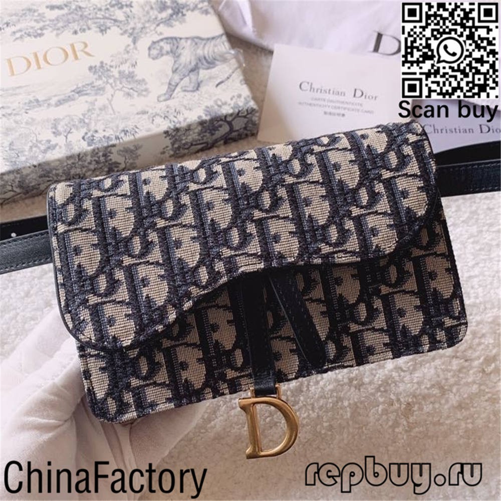 Dior most worth buying 12 replica bags (2022 updated)-Best Quality Fake Louis Vuitton Bag Online Store, Replica designer bag ru