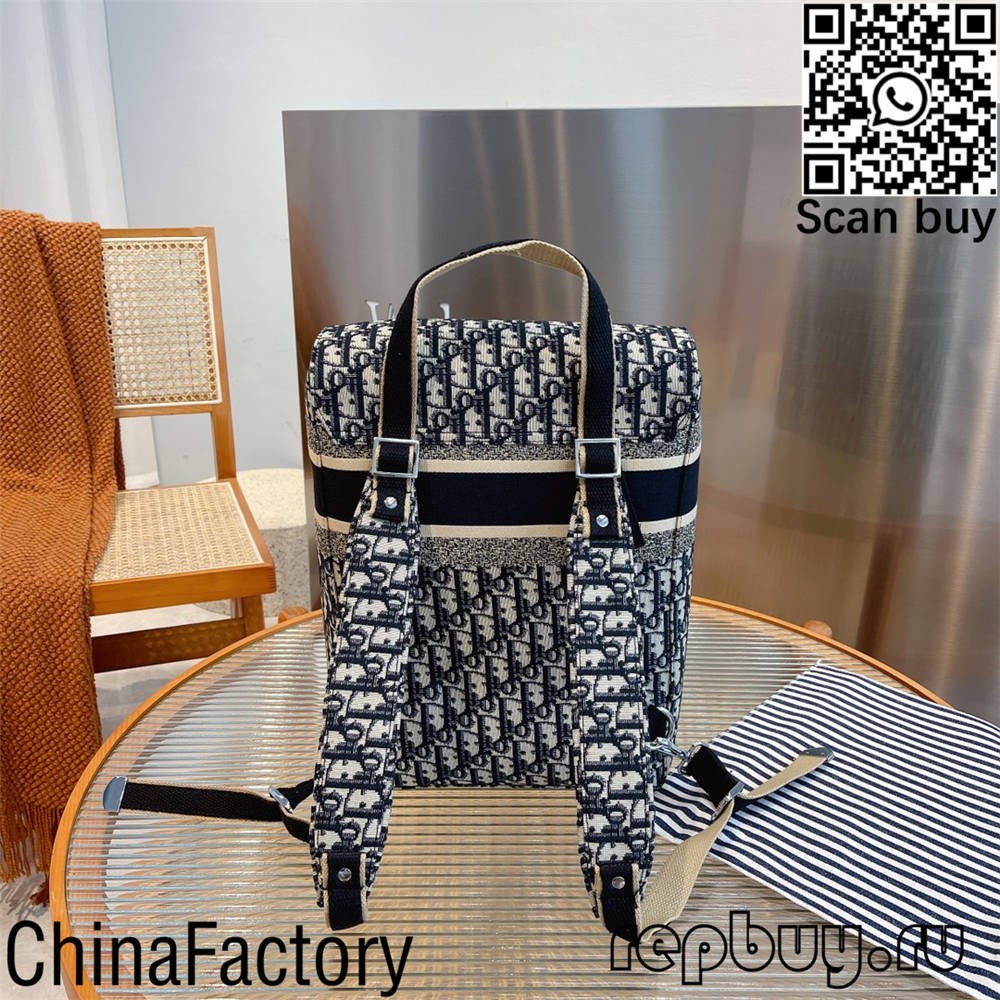 Dior most worth buying 12 replica bags (2022 updated)-Best Quality Fake Louis Vuitton Bag Online Store, Replica designer bag ru