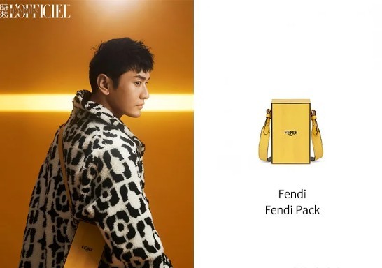 ​One of the best Fendi replica bags to buy: Pack (2022 Updated)-Best Quality Fake Louis Vuitton Bag Online Store, Replica designer bag ru