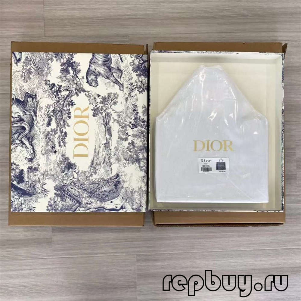 Dior Book Tote top replica bags large and small size comparison (2022 Latest)-Best Quality Fake Louis Vuitton Bag Online Store, Replica designer bag ru