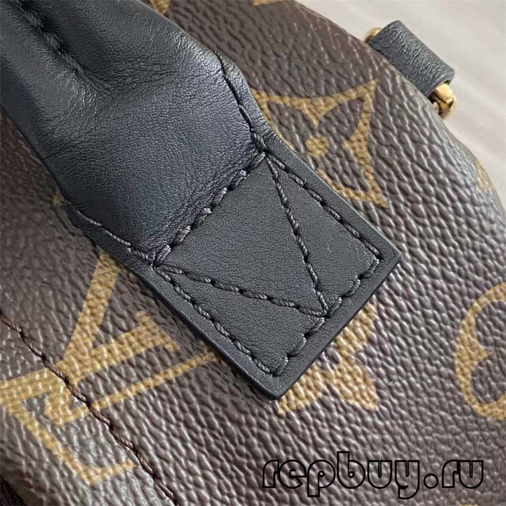 Louis Vuitton M44873 Palm Spring 23cm Shoulder Backpack Top Replica Bags Details (2022 Updated)-Best Quality Fake Louis Vuitton Bag Online Store, Replica designer bag ru