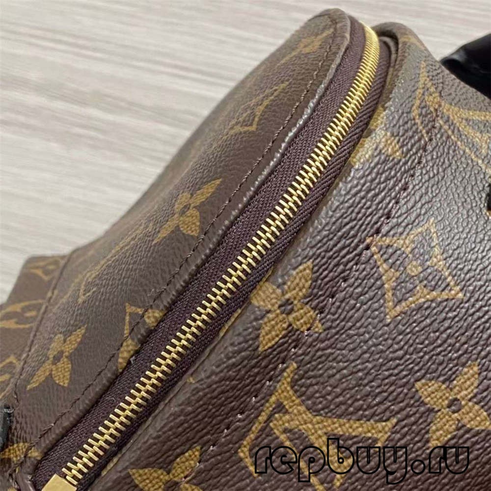 Louis Vuitton M44873 Palm Spring 23cm Shoulder Backpack Top Replica Bags Details (2022 Updated)-Best Quality Fake Louis Vuitton Bag Online Store, Replica designer bag ru